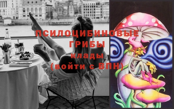 соль ск Зеленодольск