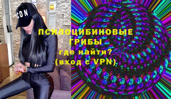 соль ск Зеленодольск